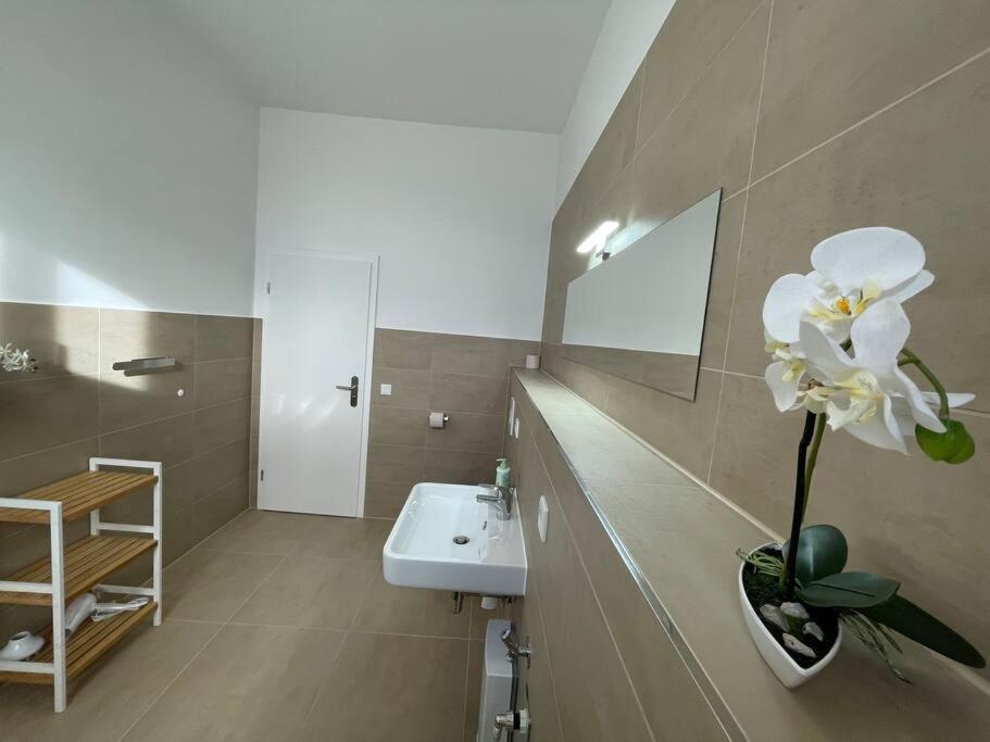 מגדבורג Lucky Stays Ls10 - Vollausstattung - Zentrum - Aufzug - Grosse Kueche - 2 Zimmer - Smart-Tv מראה חיצוני תמונה